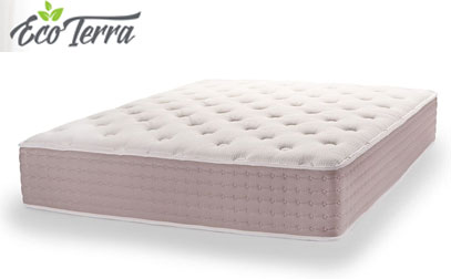 Eco Terra latex bed product image
