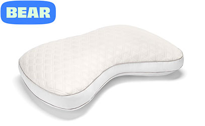 Product image of Bear Contour Pillow
