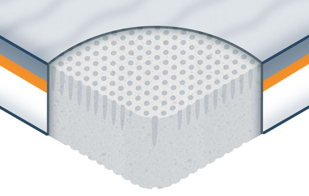 Dunlop vs. Talalay Latex (2023) Sleep Advisor