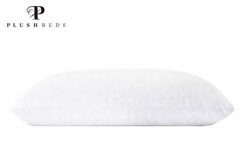 PlushBeds Organic Solid Latex Pillow