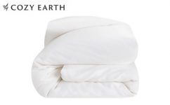Cozy Earth Silk Comforter
