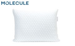 Molecule Infinity Essential Pillow