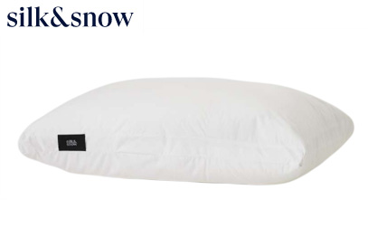 Product image of Silk and Slow pillow