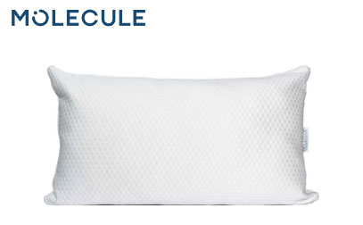 molecule all-season pillow