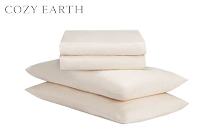 Cozy Earth Linen Sheet Set