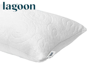Lagoon The Chinchilla Pillow Product