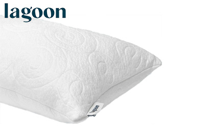 Product Image of Lagoon Chinchilla Pillow