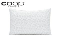 Coop Sleep Goods Body Pillow Review (2024)