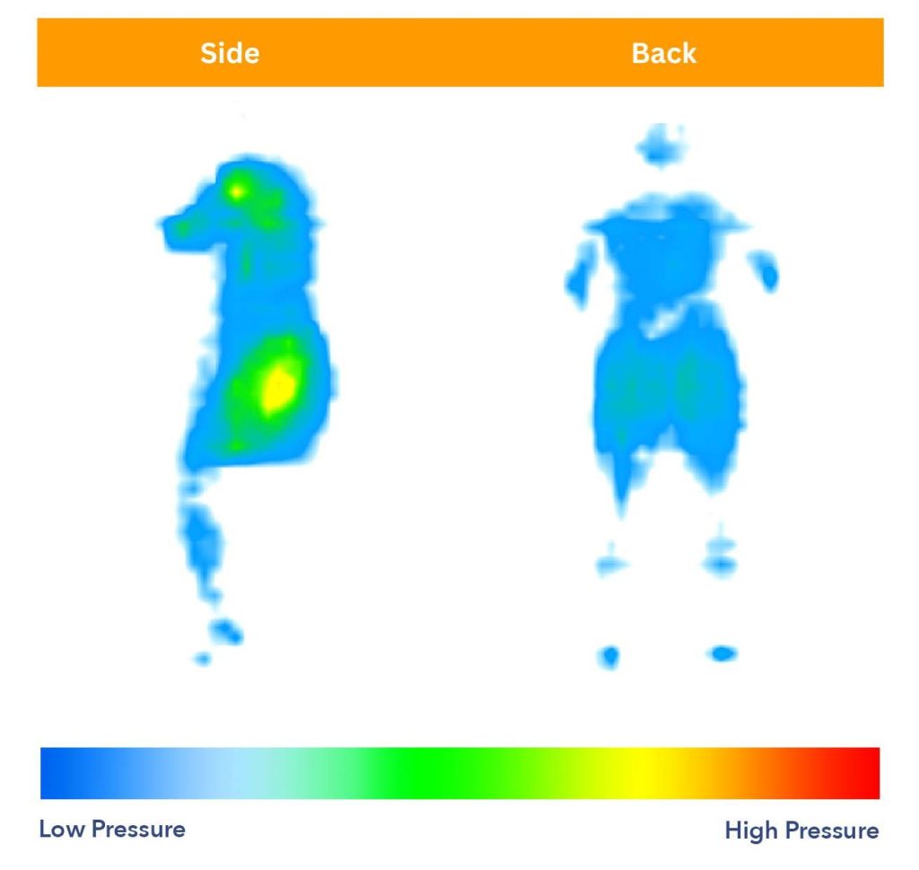Brooklyn Bedding Signature Hybrid Pressure Map