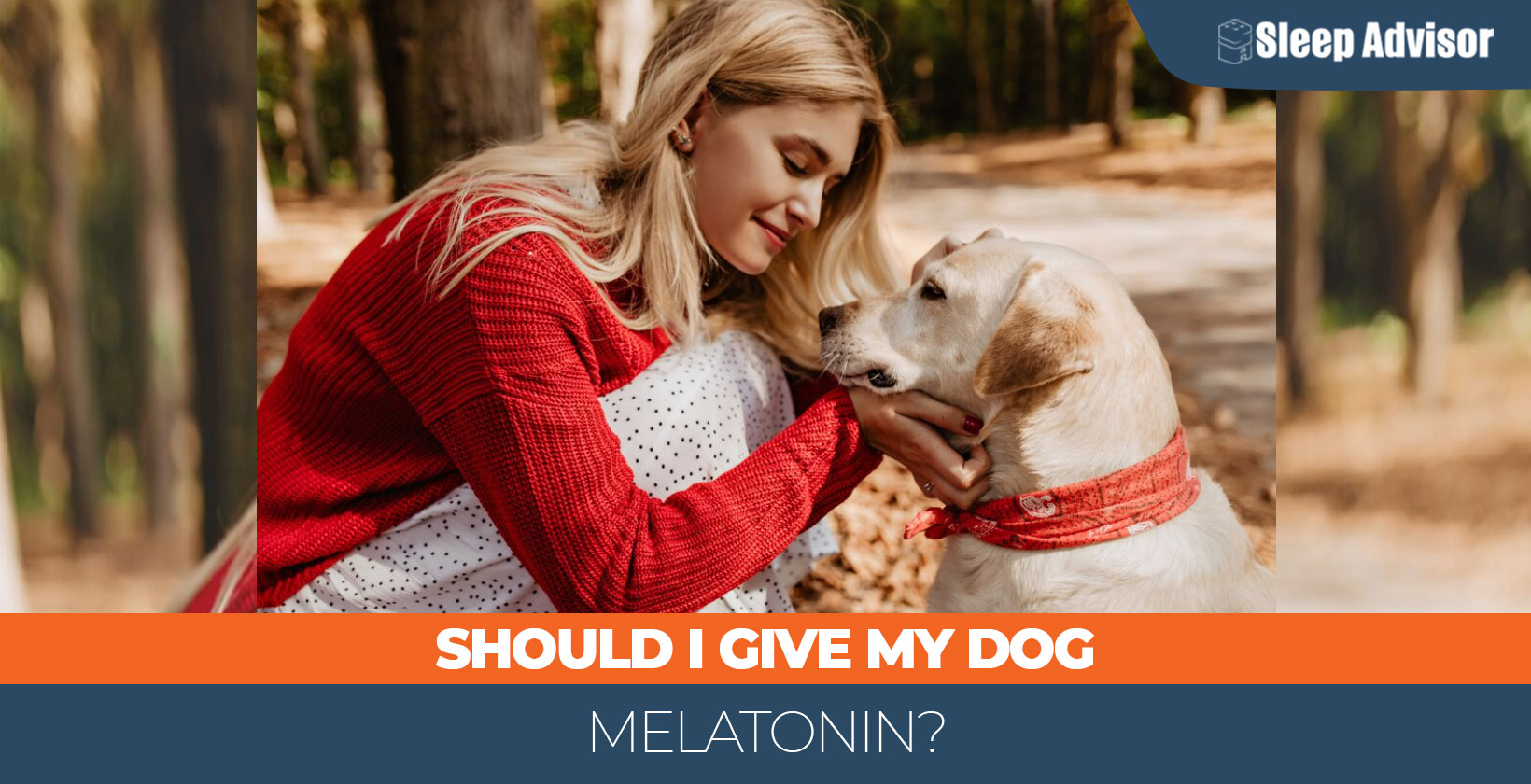 Should I Give My Dog Melatonin?