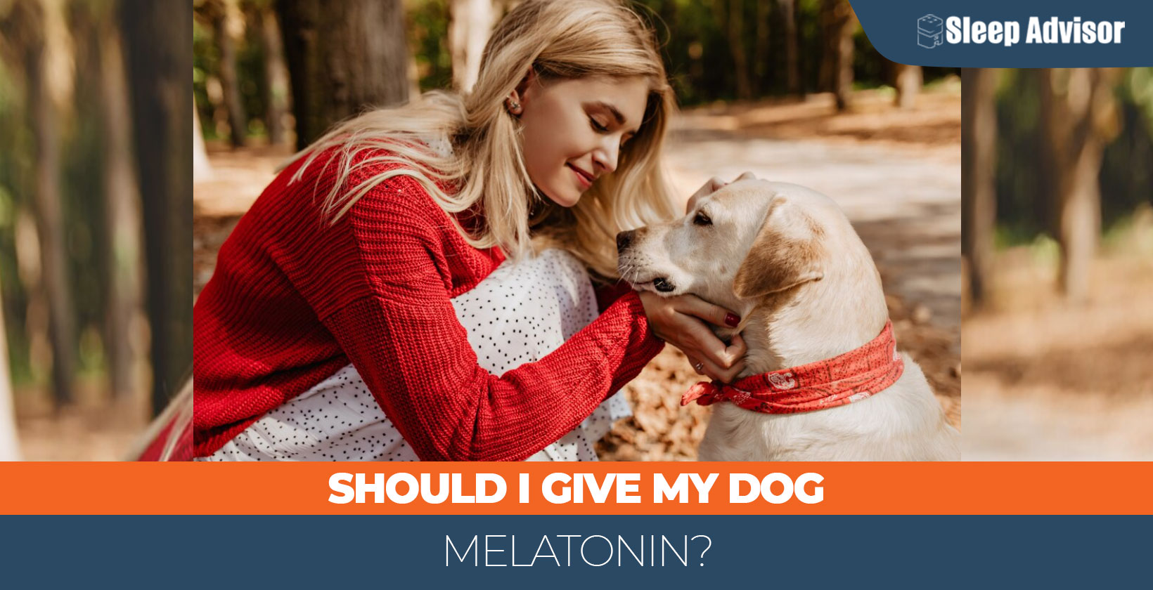 Should I Give My Dog Melatonin? Sleep Advisor