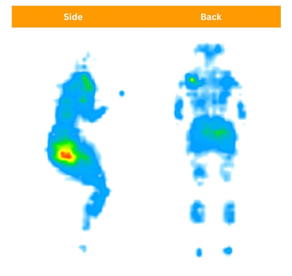 Our testers testing pressure relief features of the Cloverlane through pressure maps.