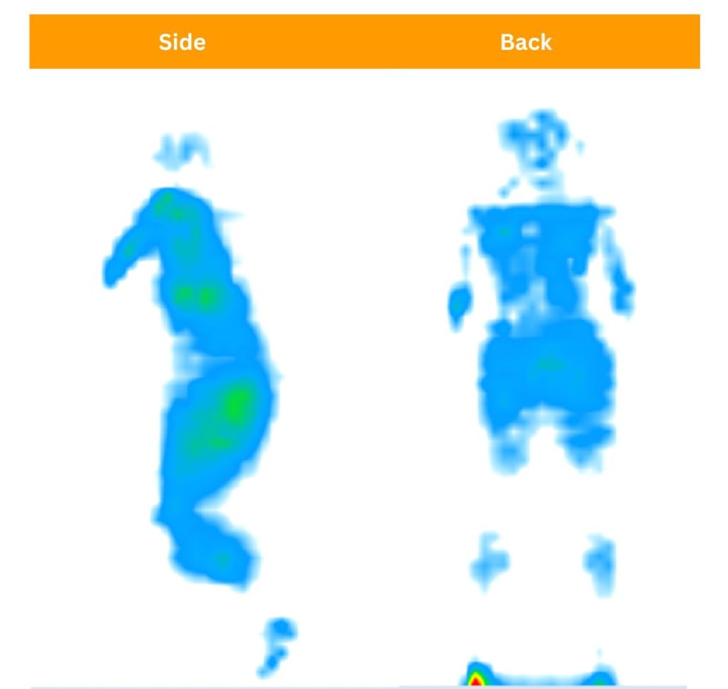 Our testers testing pressure relief features of the DreamCloud Premier Rest through pressure maps.