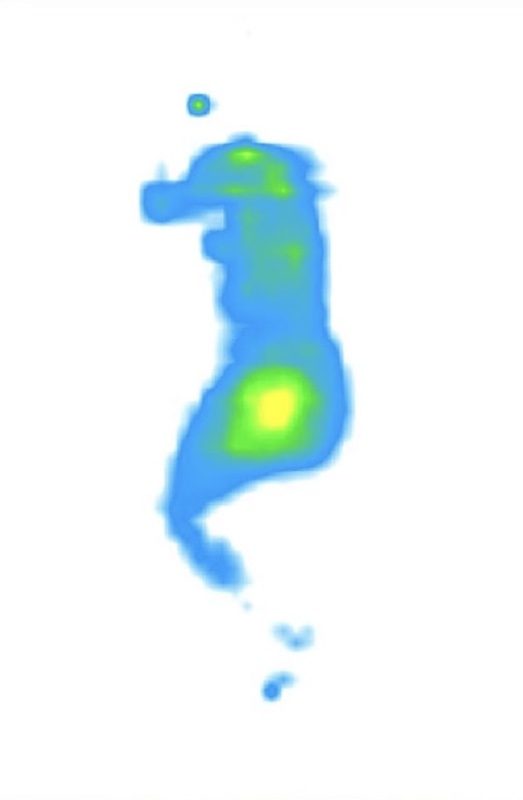 helix midnight side sleeper pressure map e1717774460728