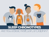 Sleep Chronotypes – Are You a Bear, Wolf, Lion, or Dolphin?