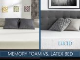 Pussy Sex Images - Foam latex memory vs Tiny asian woman getting buttfucked