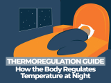 Thermoregulation Guide – How Body Temperature Regulation Works During Sleep
